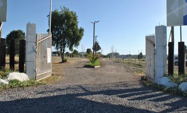 Sitios Con Acceso A Laguna En Quillon