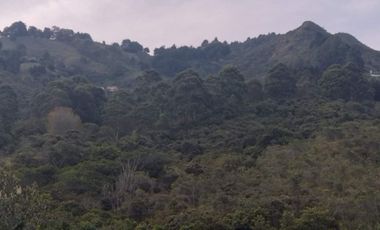 Venta gran Lote, Vereda La Veta, Copacabana, Antioquia.