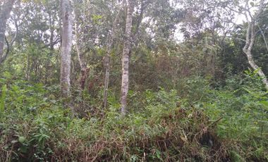 Venta gran Lote, Vereda La Veta, Copacabana, Antioquia.