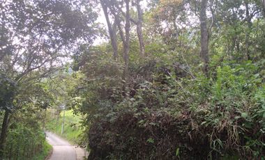 Venta gran Lote, Vereda La Veta, Copacabana, Antioquia.