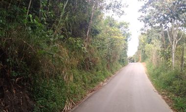 Venta gran Lote, Vereda La Veta, Copacabana, Antioquia.