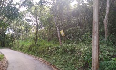 Venta gran Lote, Vereda La Veta, Copacabana, Antioquia.