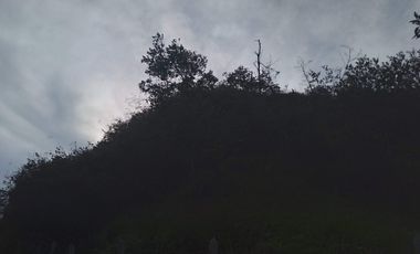Venta gran Lote, Vereda La Veta, Copacabana, Antioquia.