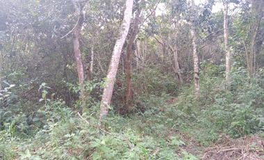 Venta gran Lote, Vereda La Veta, Copacabana, Antioquia.