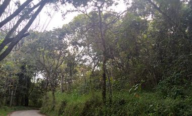 Venta gran Lote, Vereda La Veta, Copacabana, Antioquia.