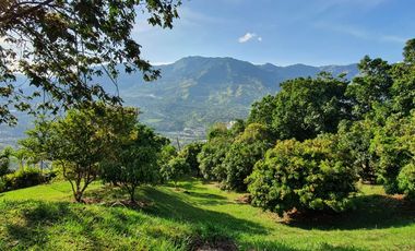 Venta Lote, Vereda el Alvarado, Copacabana Antioquia.