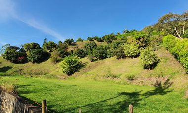 Venta Lote, Vereda el Alvarado, Copacabana Antioquia.