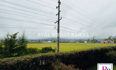 Apartamento Amoblado en La Ceja – 2° Piso en Unidad Cerrada