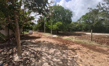 TERRENOS EN BACALAR
