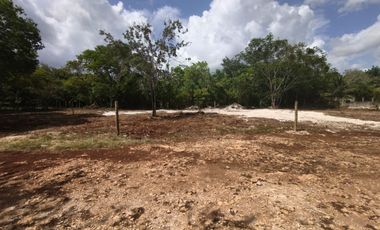 TERRENOS EN BACALAR
