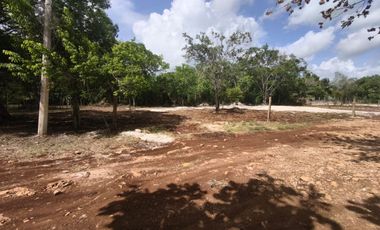 TERRENOS EN BACALAR