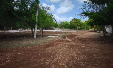 TERRENOS EN BACALAR