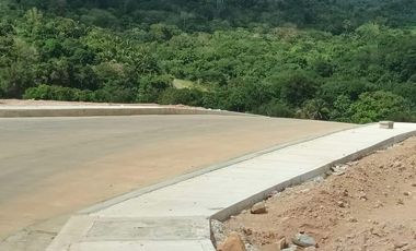 10K RF ONLY NEAR RFO NO DP RESIDENTIAL&COMMERCIAL LOT IN PILILLA RIZAL LAGUNA LAKE FRONT VIEW