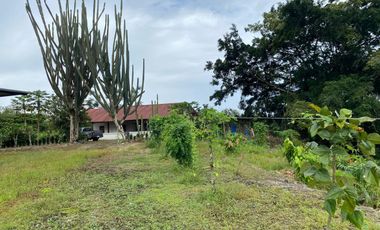 Finca de 41 Hectáreas Vía Quevedo