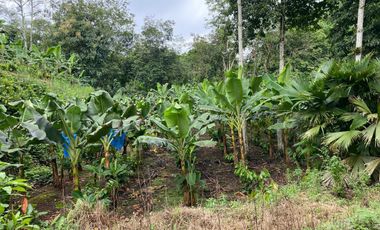 Finca de 41 Hectáreas Vía Quevedo