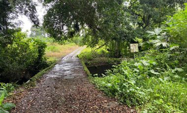 Finca de 41 Hectáreas Vía Quevedo