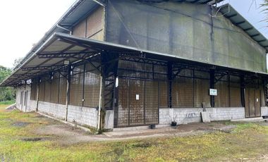 Finca de 41 Hectáreas Vía Quevedo