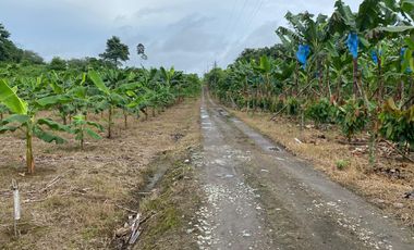 Finca de 41 Hectáreas Vía Quevedo
