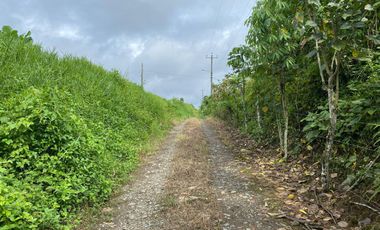 Finca de 41 Hectáreas Vía Quevedo