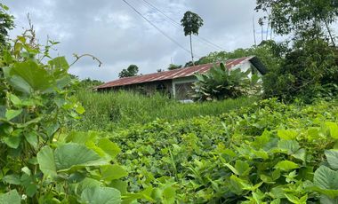 Finca de 41 Hectáreas Vía Quevedo