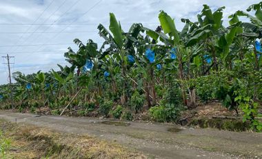 Finca de 41 Hectáreas Vía Quevedo