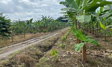 Finca de 41 Hectáreas Vía Quevedo