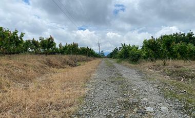 Finca de 41 Hectáreas Vía Quevedo