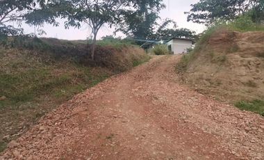 99 hectáreas via a Puerto Quito