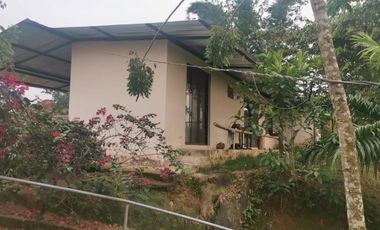 99 hectáreas via a Puerto Quito