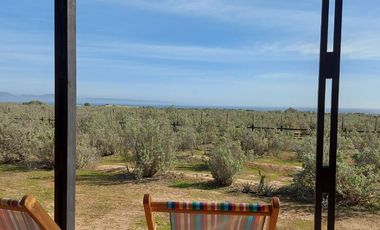 En Venta Casa En Exclusivo Sector De Tongoy. Changanal