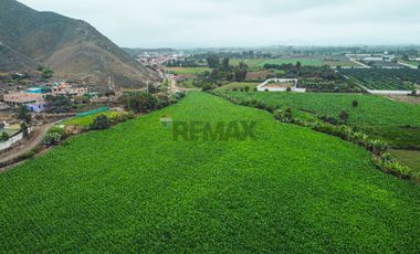 Venta De Terreno Industrial De 3.68 Ha Cerca Al Megapuerto De Chancay
