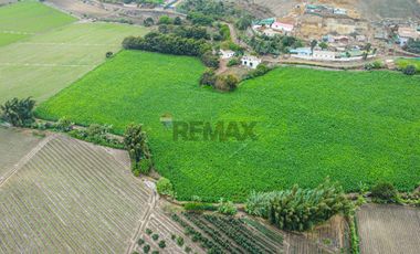 Venta De Terreno Industrial De 3.68 Ha Cerca Al Megapuerto De Chancay
