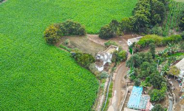 Venta De Terreno Industrial De 3.68 Ha Cerca Al Megapuerto De Chancay