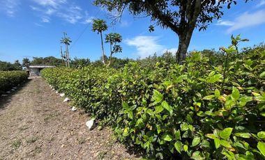 terreno de venta en manta zona el aromo CA/P