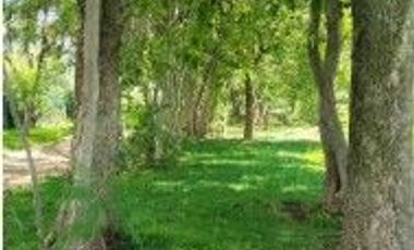 VENTA DE TERRENO FRACCIONAMIENTO EL CARMEN, ATLIXCO , PUEBLA