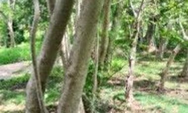 VENTA DE TERRENO FRACCIONAMIENTO EL CARMEN, ATLIXCO , PUEBLA