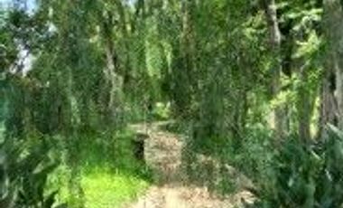 VENTA DE TERRENO FRACCIONAMIENTO EL CARMEN, ATLIXCO , PUEBLA