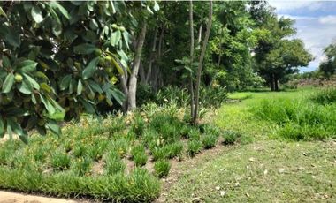 VENTA DE TERRENO FRACCIONAMIENTO EL CARMEN, ATLIXCO , PUEBLA