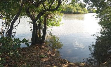 Venta de Finca Ganadera en Vichada