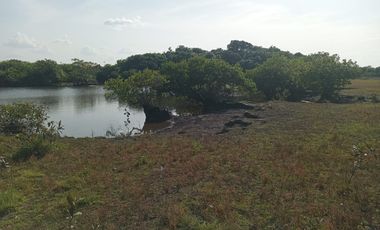 Venta de Finca Ganadera en Vichada
