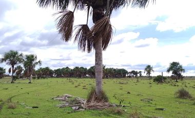 Venta de Finca Ganadera en Vichada