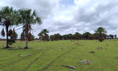 Venta de Finca Ganadera en Vichada