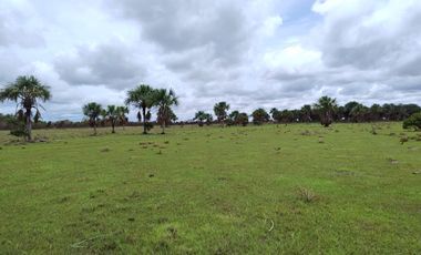 Venta de Finca Ganadera en Vichada