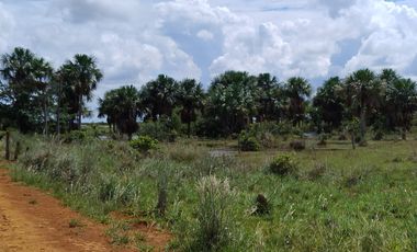 Venta de Finca Ganadera en Vichada