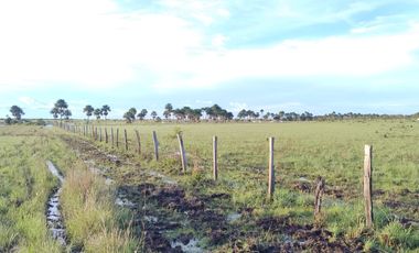 Venta de Finca Ganadera en Vichada