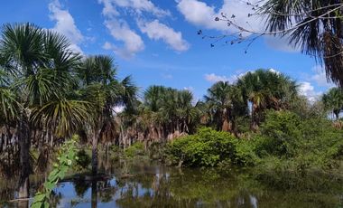 Venta de Finca Ganadera en Vichada