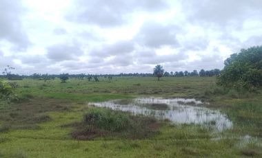 Venta de Finca Ganadera en Vichada