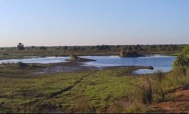 Venta de Finca Ganadera en Vichada