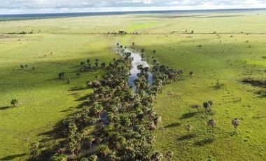 Venta de Finca Ganadera en Vichada