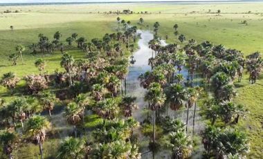 Venta de Finca Ganadera en Vichada